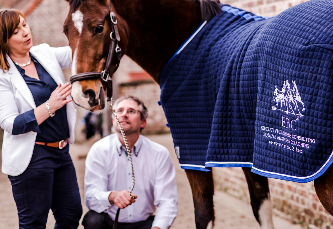 EBC² Equine Business Coaching